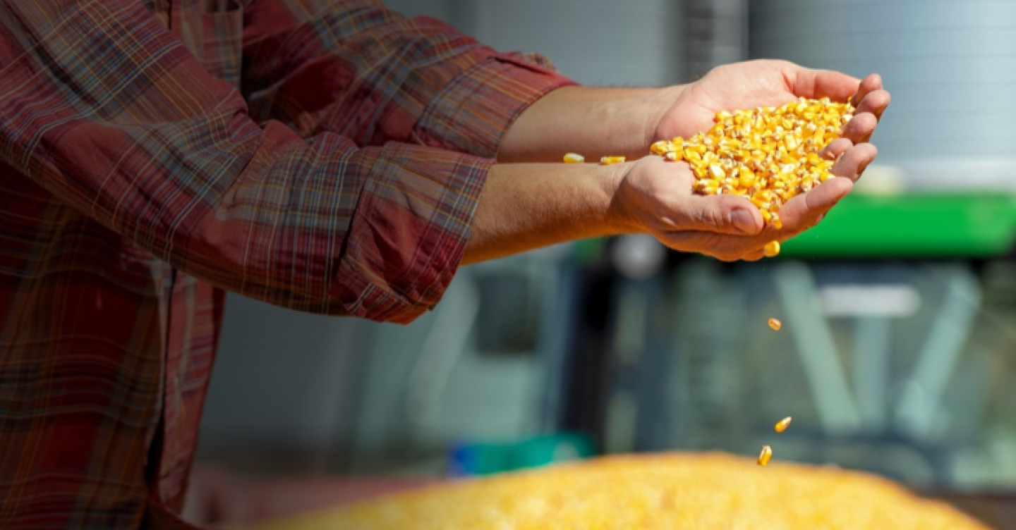 Cropwise Commodity Pro offset the risk in corn and soy market