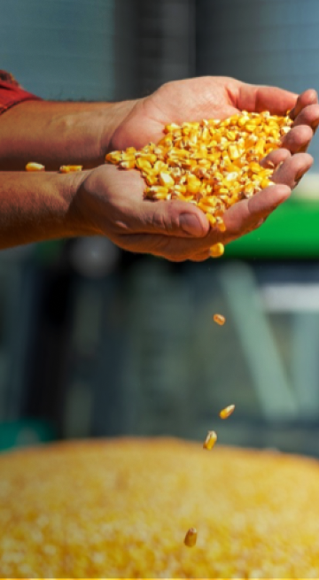 Cropwise Commodity Pro offset the risk in corn and soy market